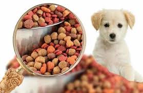 Pet Supplies